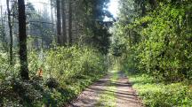  Blick auf die Wanderstrecke 